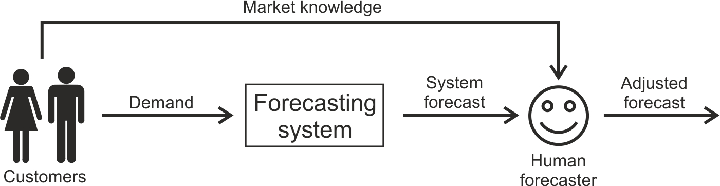 Schematic of a human judgemental forecast adjustment
